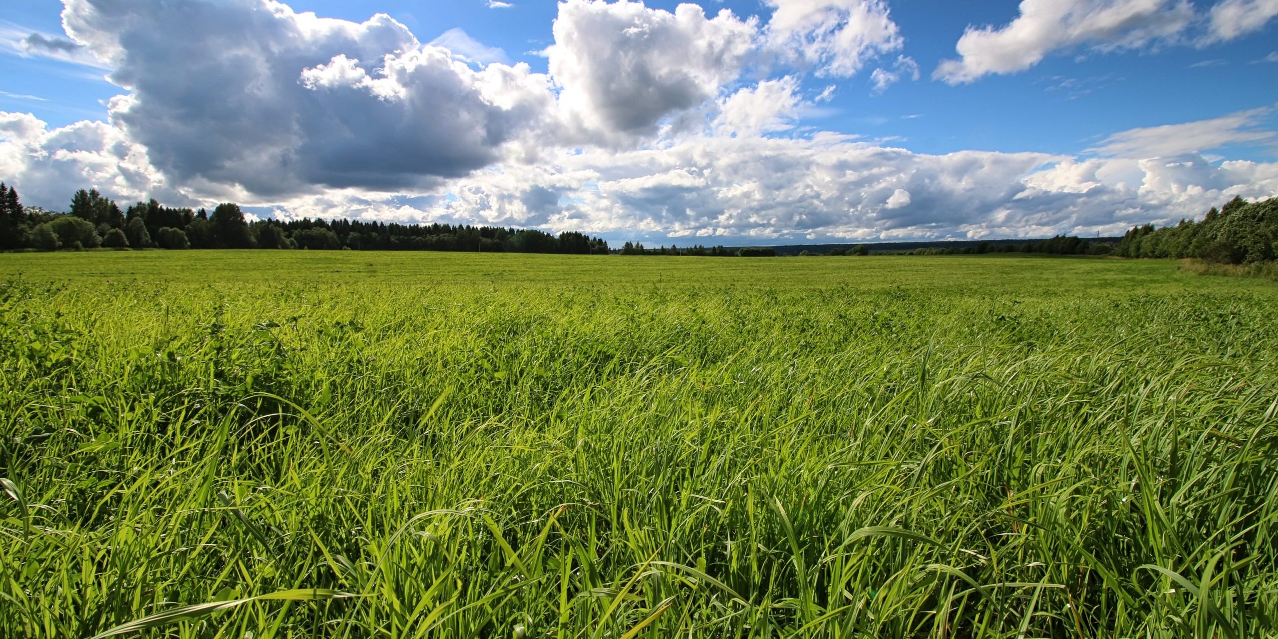 lanscape meadow sky cloud